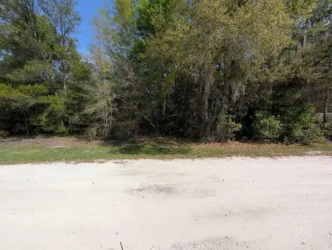 Buildable Homesite in Rainbow Lakes