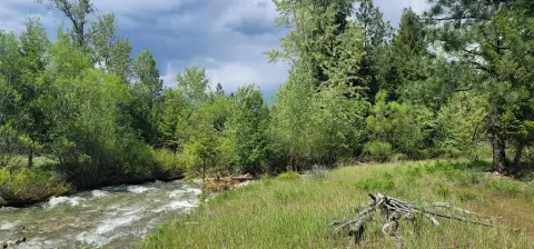 Land Ideal for Montana Dream Home