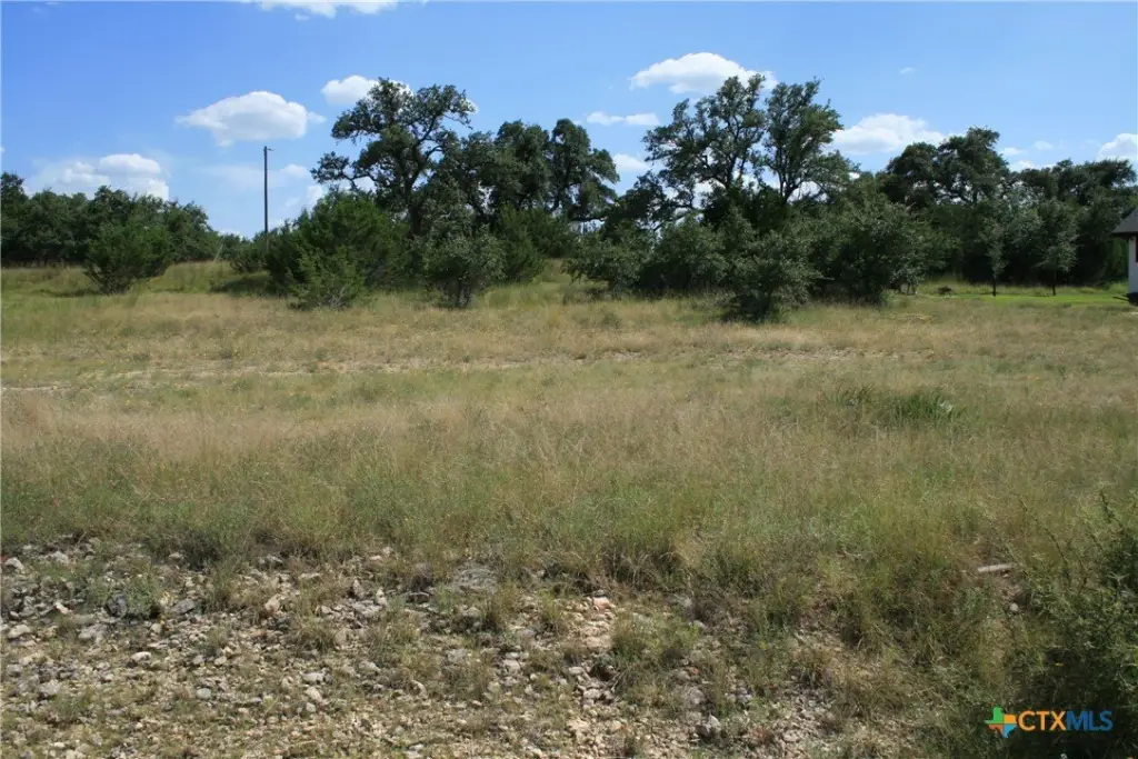 Picture 13