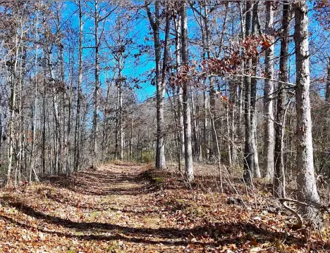 Amesville Vacant Land with Acreage