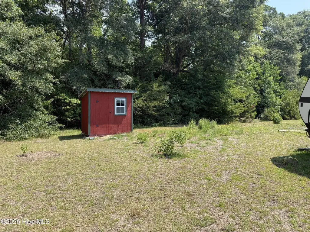 Picture 6