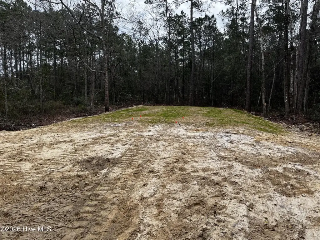 Picture 3