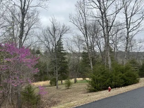 Residential Lot in Saddlebrooke, MO