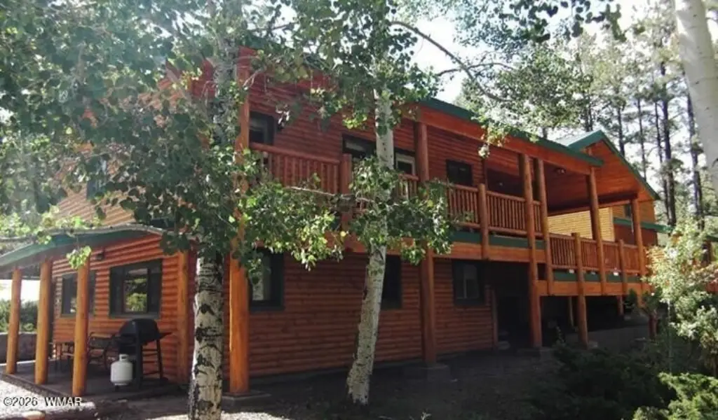 Picture 3