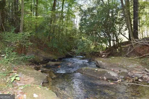 32.98 Acres in Ellijay, GA