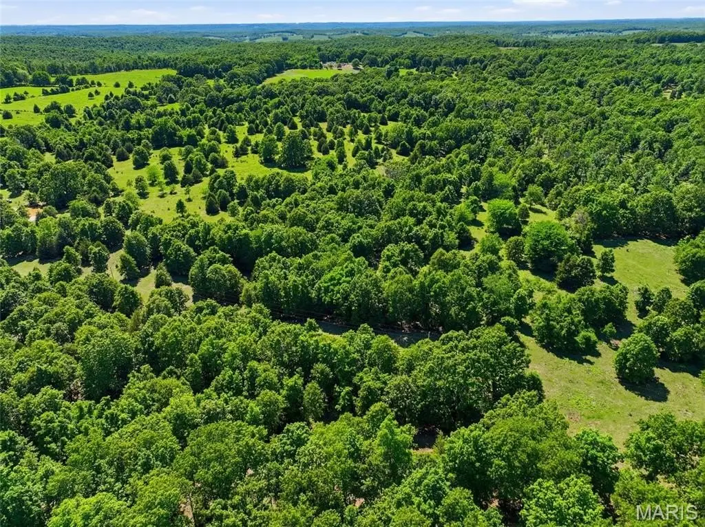 Picture 25