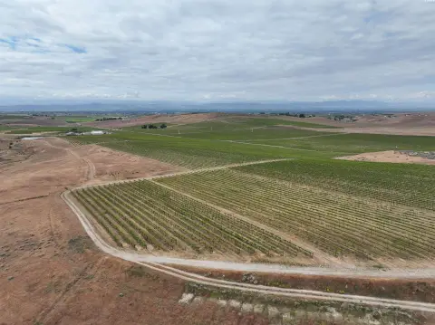 Producing Vineyard with Sweeping Views