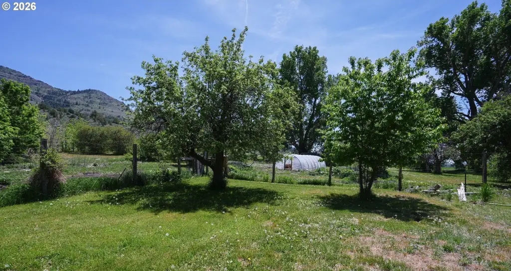 Picture 30