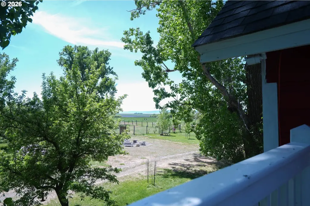 Picture 25