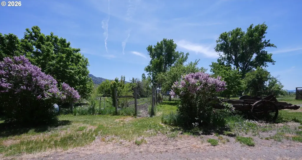 Picture 29