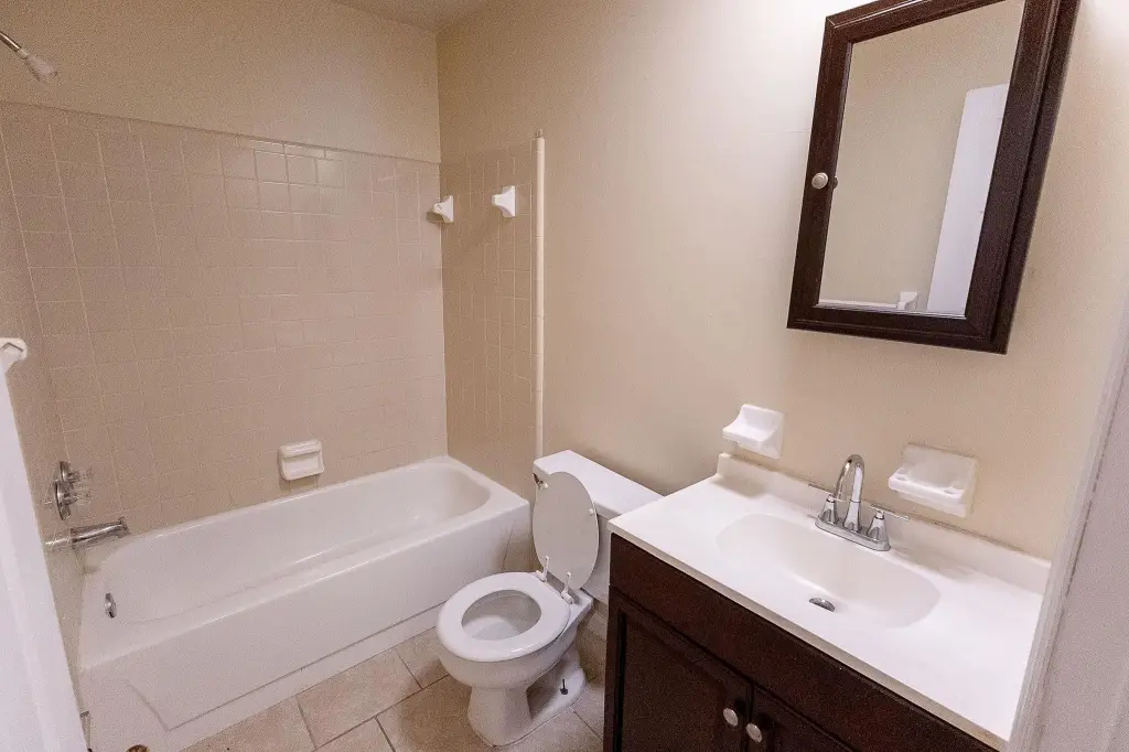 Picture 19