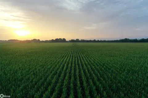 582.9 Acres of Farmland Auction