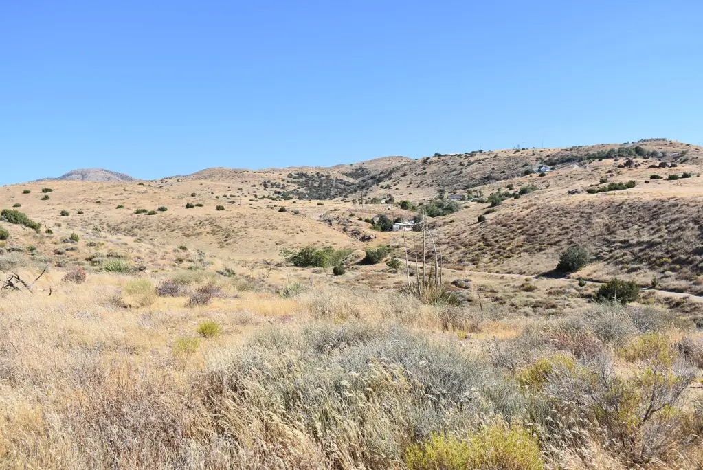 Picture 27