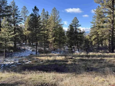 Wooded Lot in Pagosa Springs