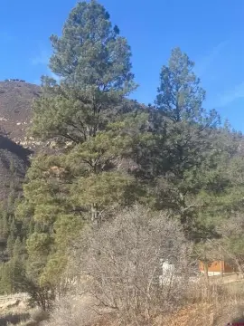 Durango Residential Lot with Views