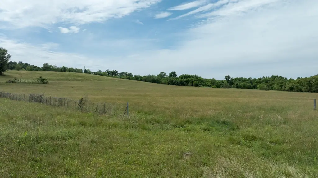 Picture 25