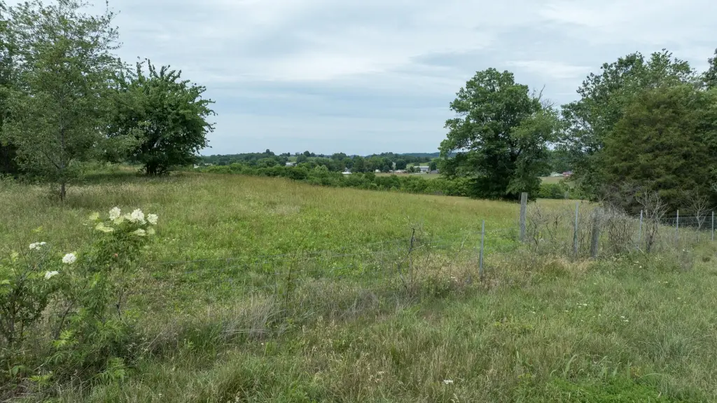 Picture 35