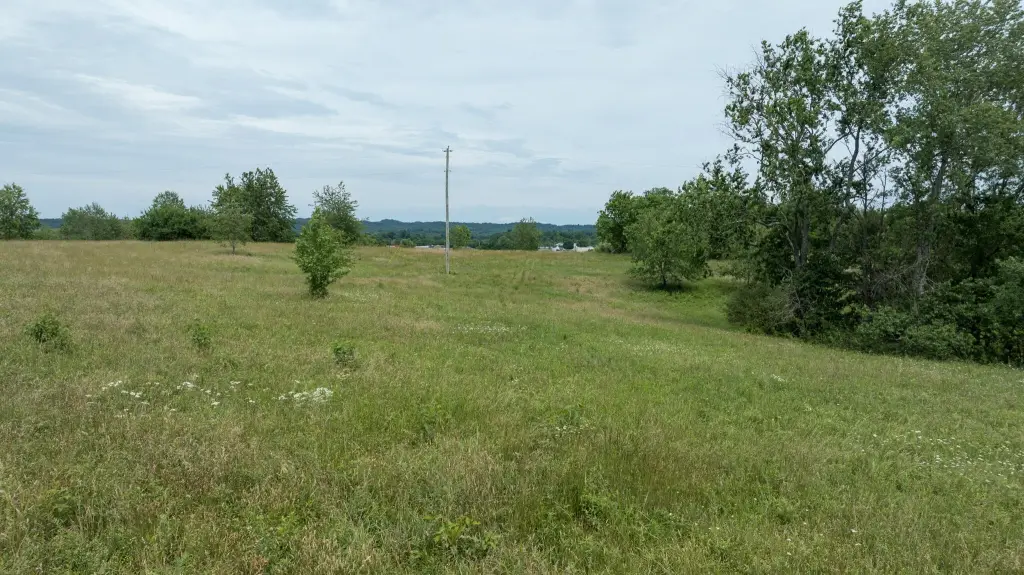 Picture 26