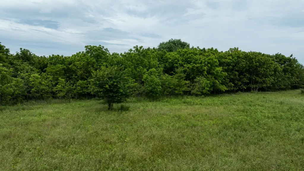 Picture 34