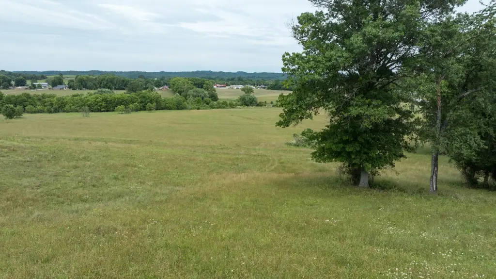 Picture 17