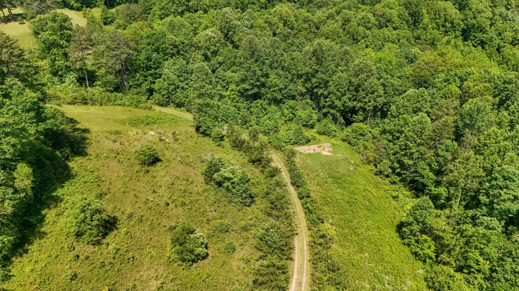Picture 23