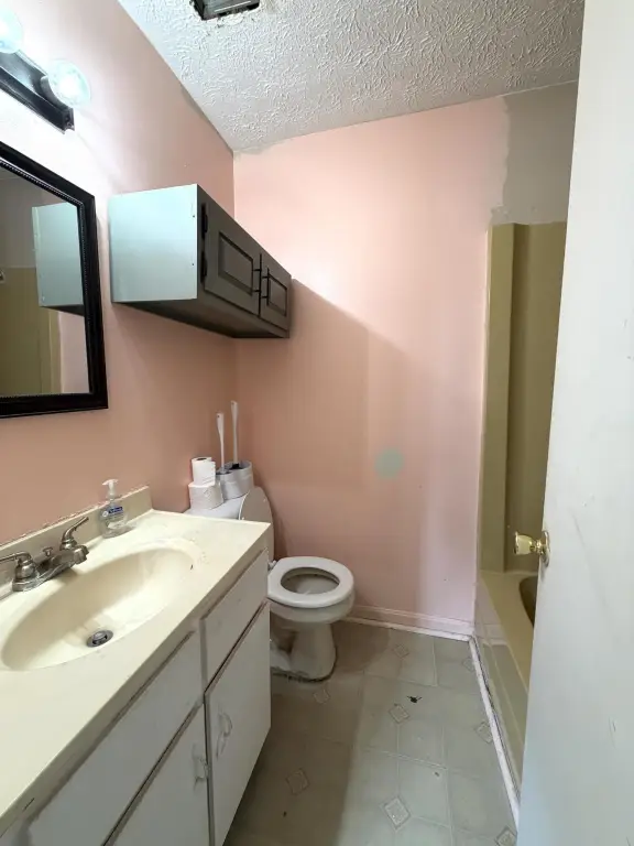 Picture 12