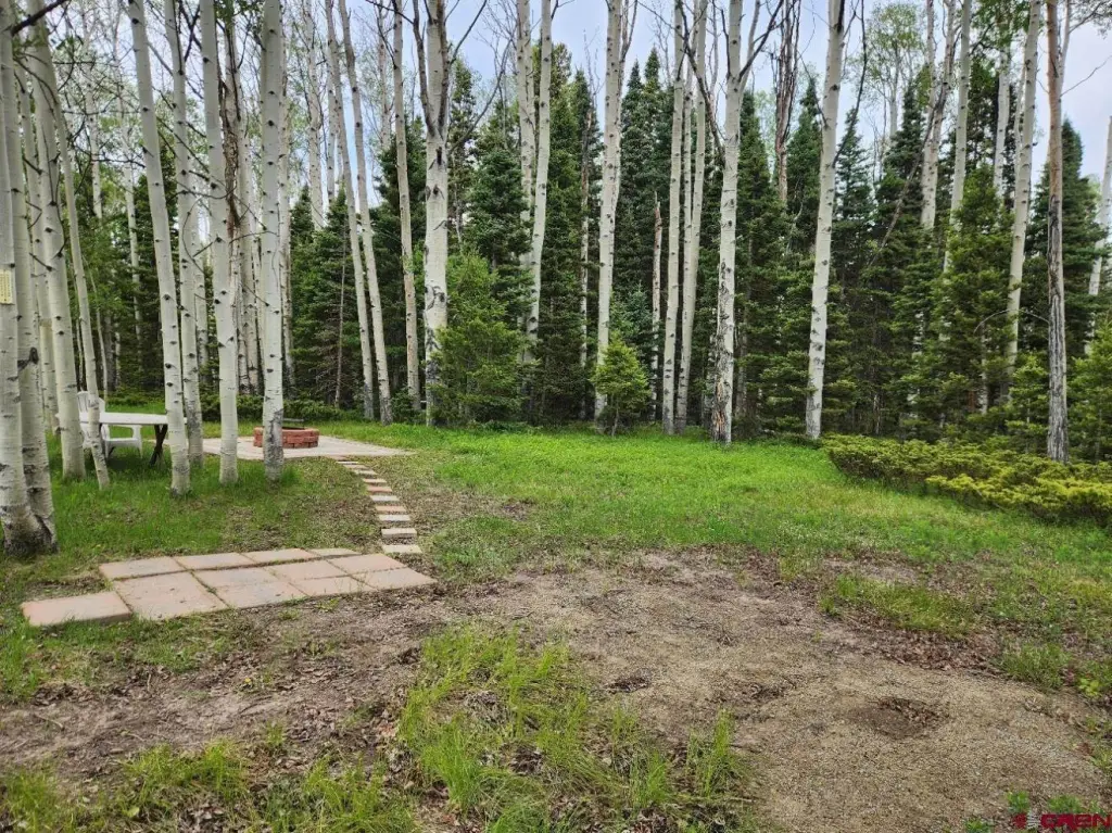 Picture 7