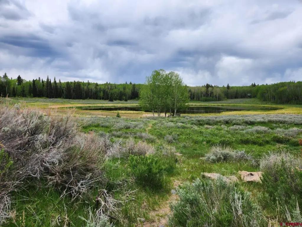 Picture 10