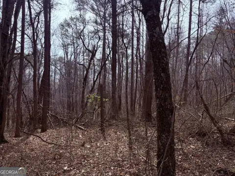 Waco, GA Wooded Acreage