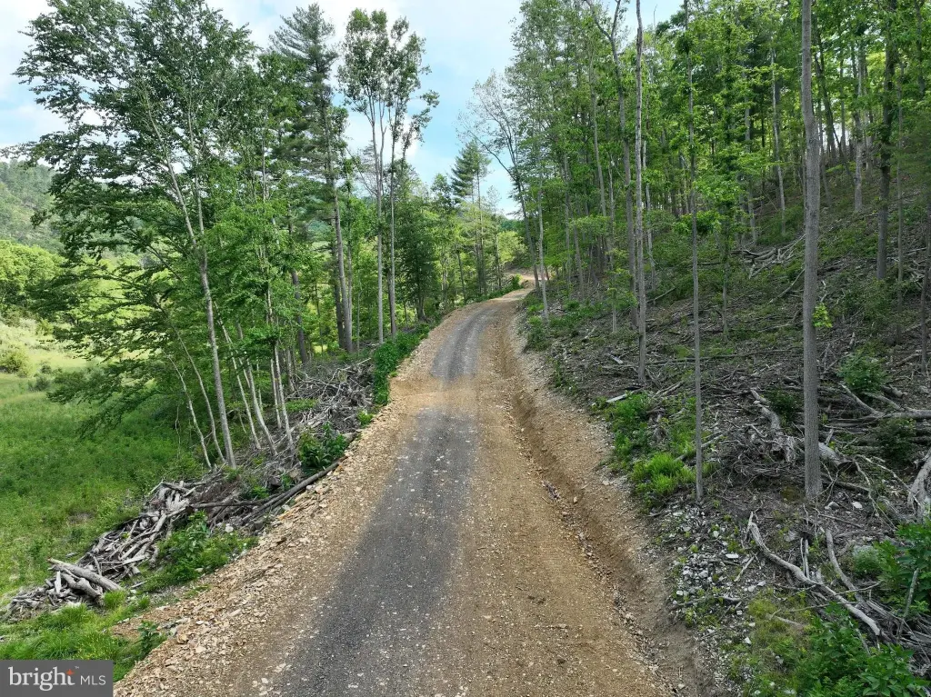 Picture 2