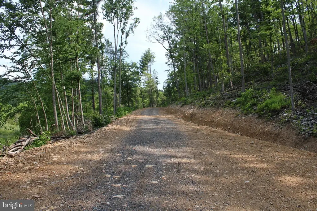 Picture 46