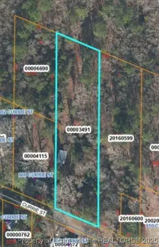 Land Near Downtown Carthage