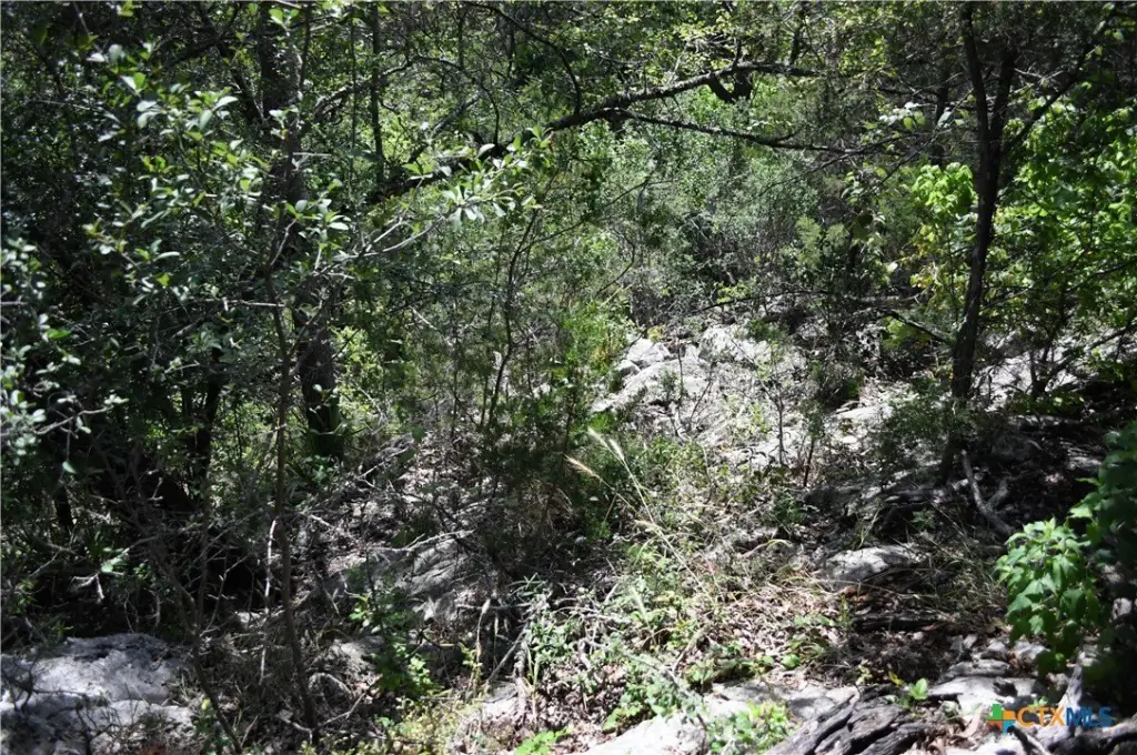 Picture 11