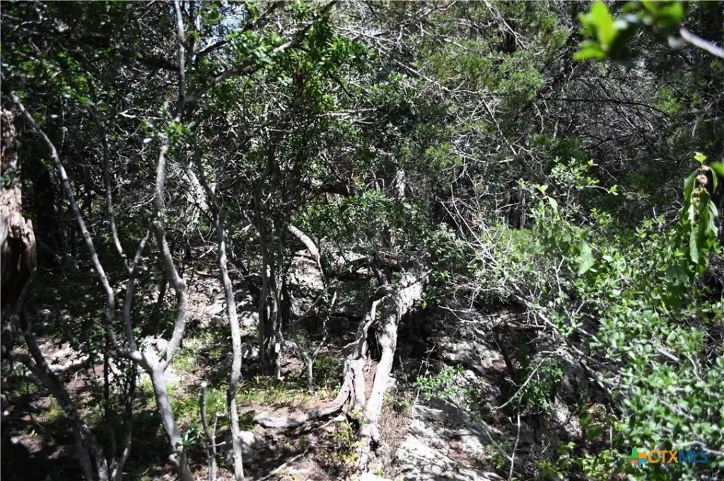 Picture 10