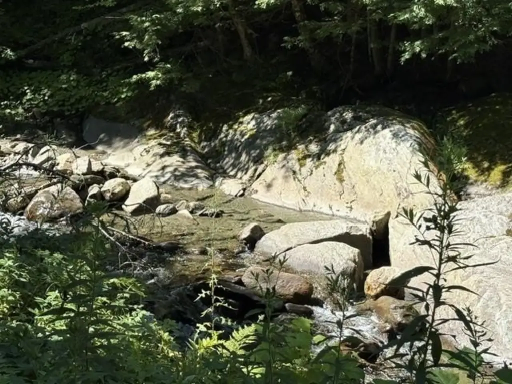 Picture 4