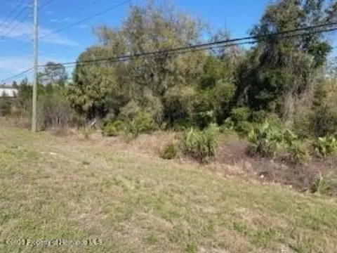 Commercial Land on US 19