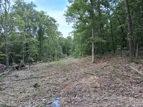 Wooded Recreational Land