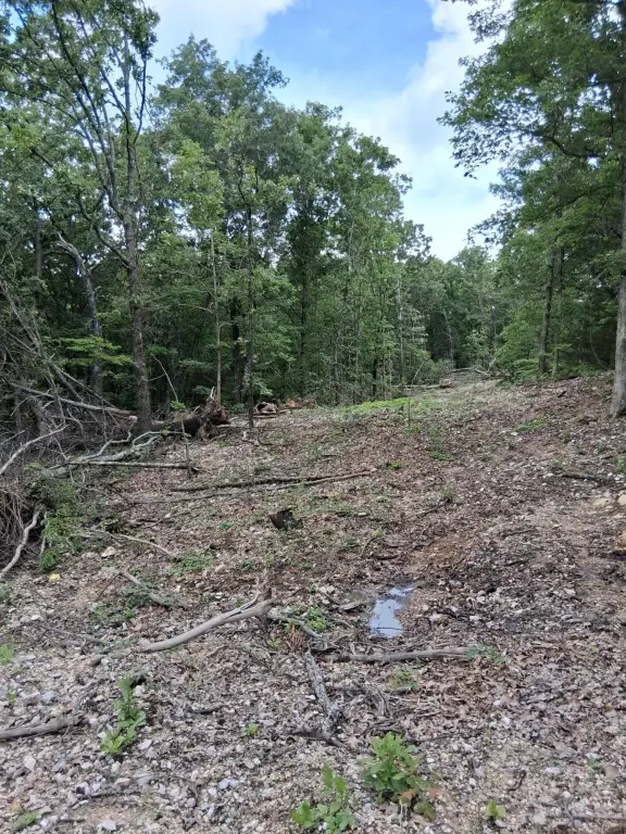 Picture 2