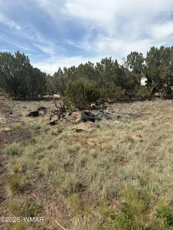 Picture 3