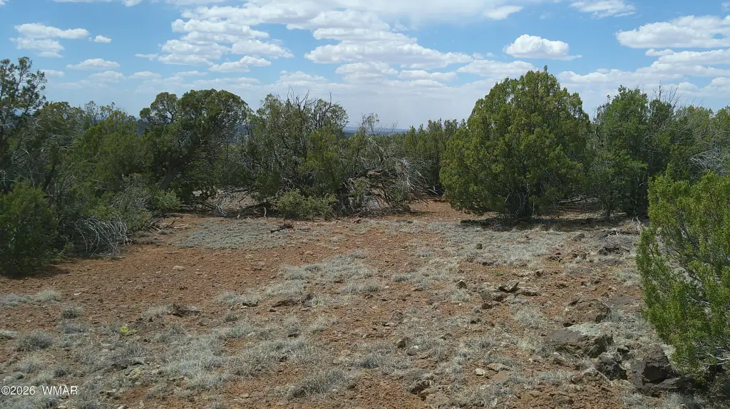 Picture 8