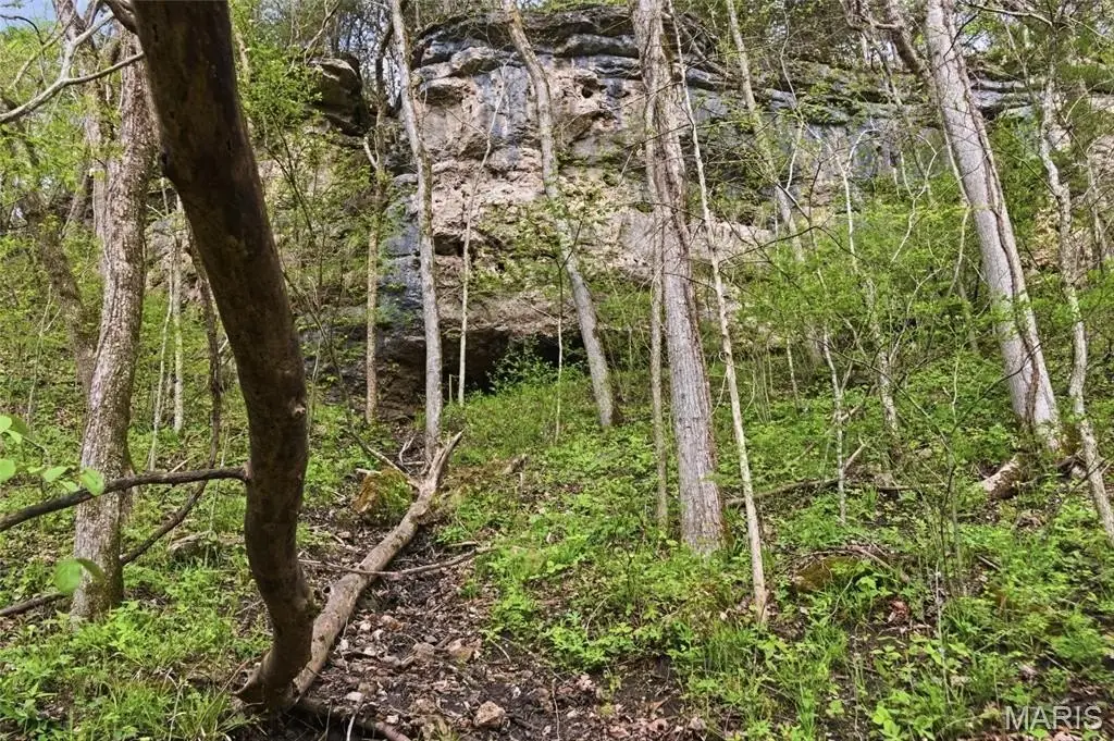 Picture 45