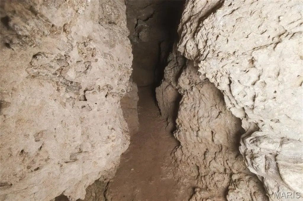 Picture 42