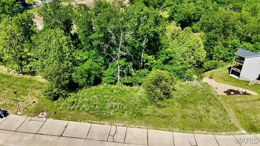 Picture 4