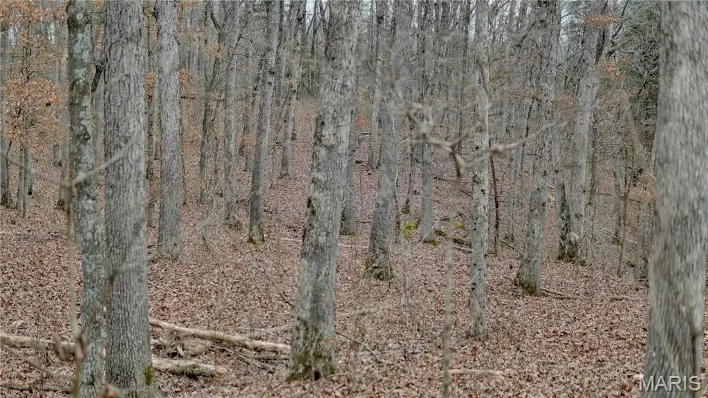 Picture 24