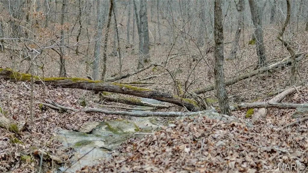 Picture 23
