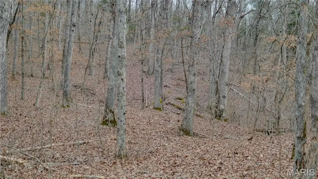 Picture 25