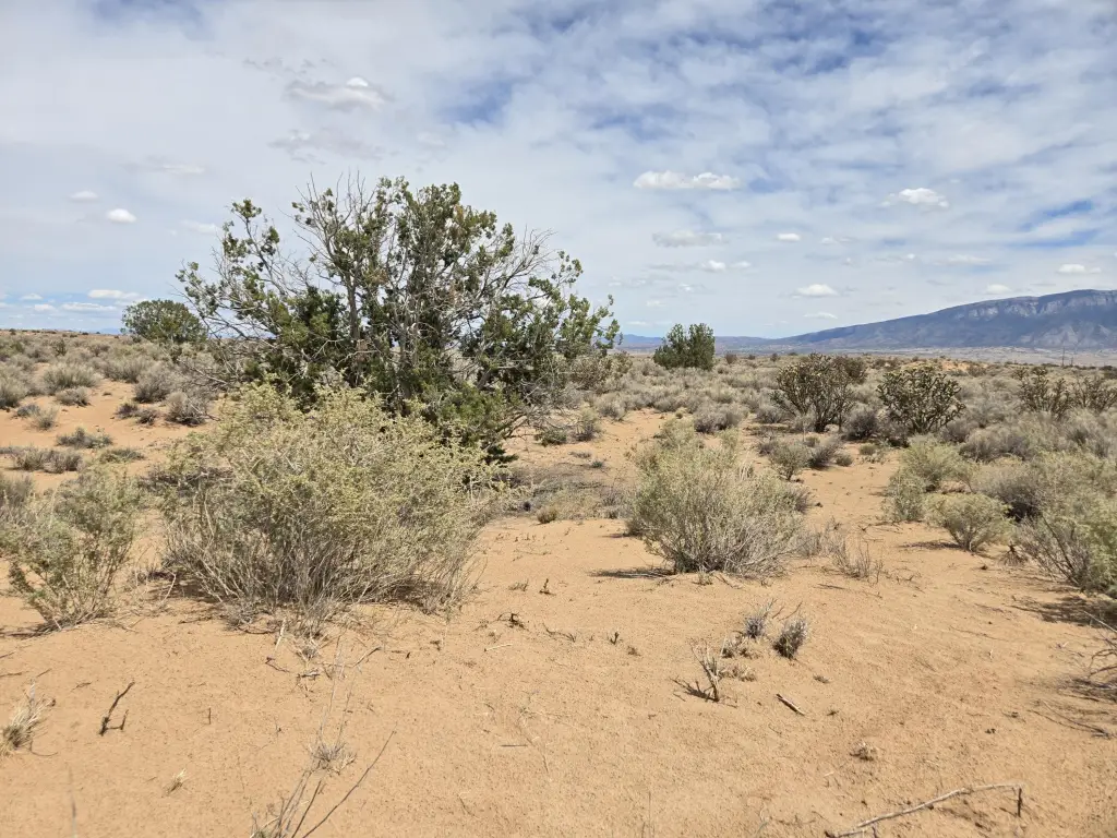 Picture 8