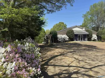 Arab, AL Investment Opportunity