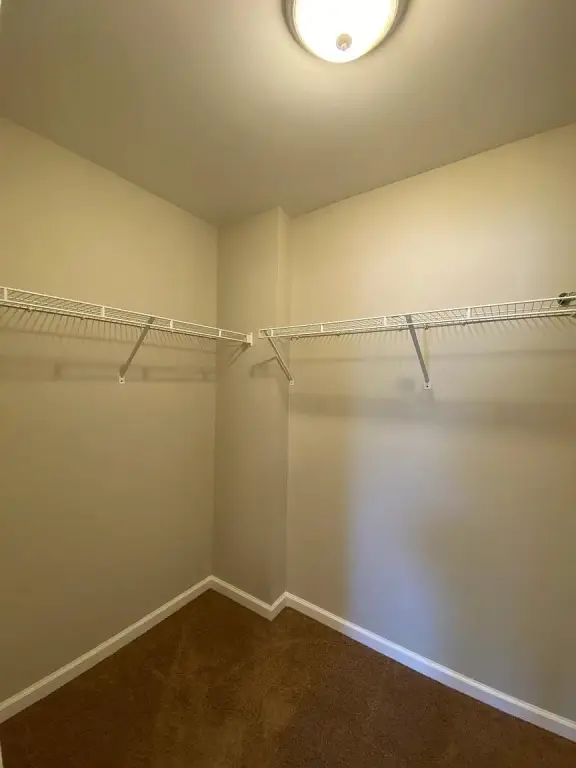 Picture 39
