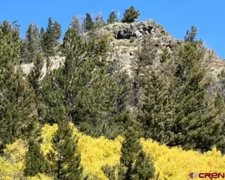 Two-Acre Parcel in Powderhorn, CO